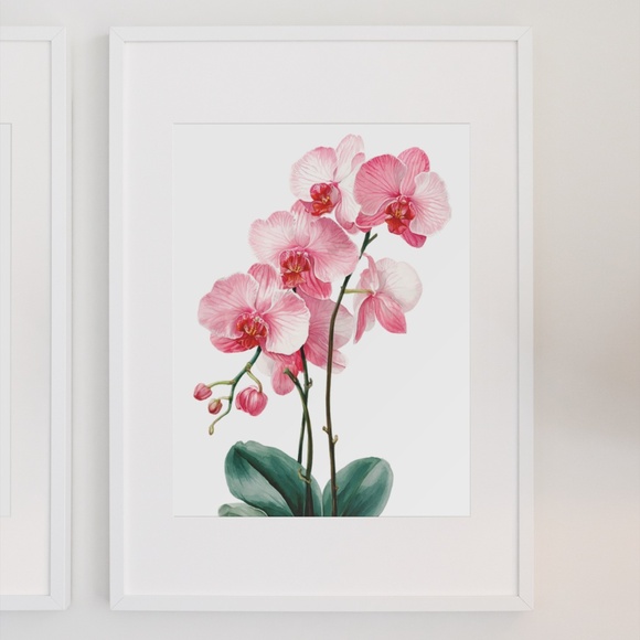 Watercolor Pink Orchids Wall Art Print Unframed - Elegant Floral Serenity - Picture 7 of 7